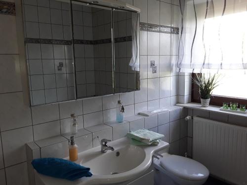 a bathroom with a sink and a toilet and a mirror at Ferienwohnung Frischkorn in Steinau an der Straße