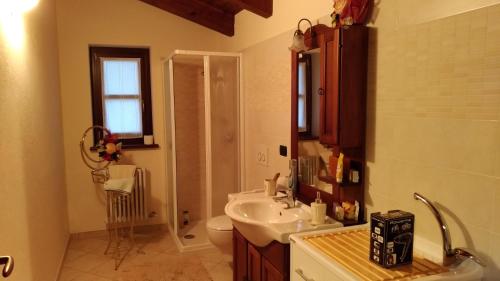 a bathroom with a sink and a toilet at Nel Verde in Villar San Costanzo