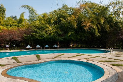 a large blue swimming pool with trees in the background at Jim's Jungle Retreat in Rāmnagar