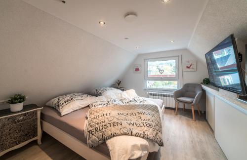 a small bedroom with a bed and a television at mountain-view-apartments de in Thale
