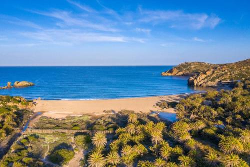 an aerial view of a beach with palm trees and the ocean at The old cheese hut in Zou