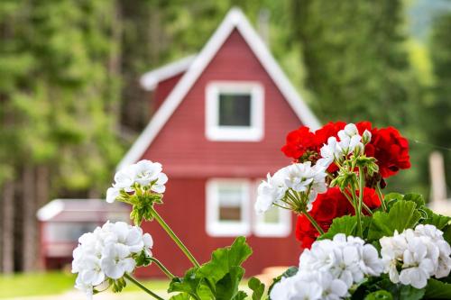 ein rotes und weißes Haus mit Blumen davor in der Unterkunft Erzgebirgsidyll in Breitenbrunn