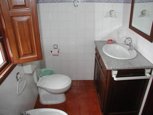 Baño pequeño con aseo y lavamanos en Casa Rosinha Menor, en Riba de Âncora