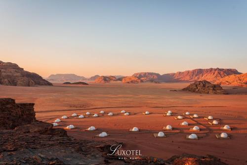 a herd of sheep grazing in the desert at Wadi Rum UFO Luxotel in Wadi Rum