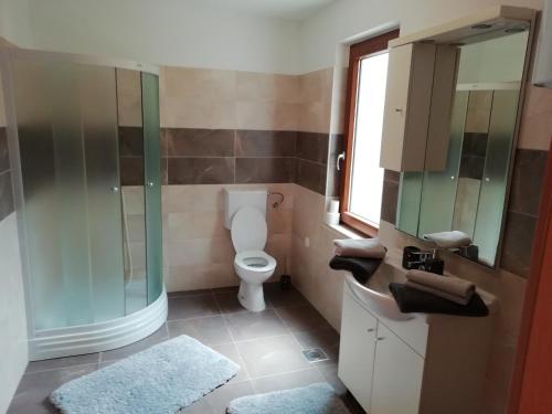 uma casa de banho com um WC e uma cabina de duche em vidro. em hostel Stalno Sretan em Labin