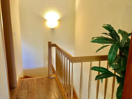 Photo de la galerie de l'établissement Residenz Waldhaus WE 4, à Kühlungsborn