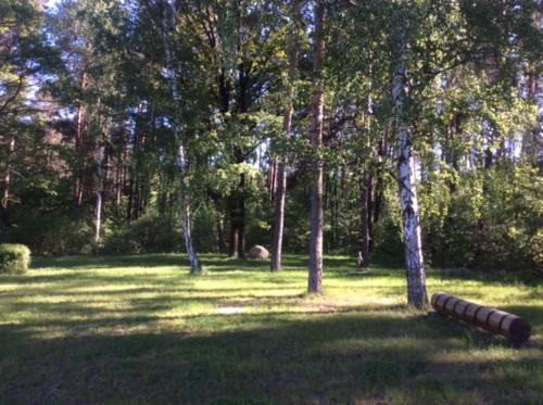 a park with a bench in the grass with trees at Penzion v Zálesí in Mladá Boleslav