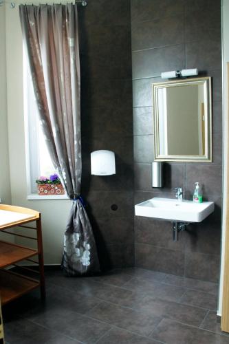 a bathroom with a sink and a mirror at Penzion v Zálesí in Mladá Boleslav
