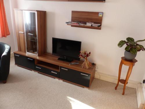 a living room with a flat screen tv on a entertainment center at Ferienwohnung Seidel in Bad Schandau