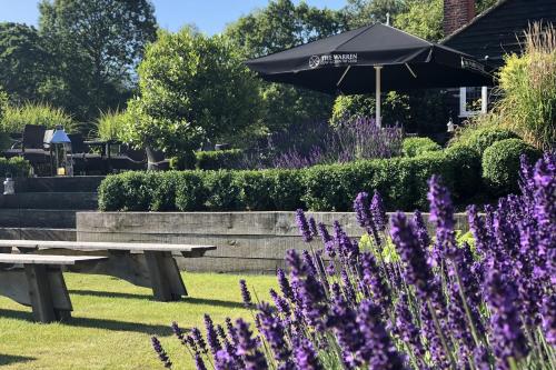 Galería fotográfica de Rose Suite & Executive rooms en Little Baddow