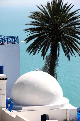 a palm tree in front of a building with the ocean at VILLA EDO in Gammarth