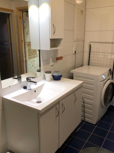 a bathroom with a sink and a washing machine at Laukvik Suites in Laukvik