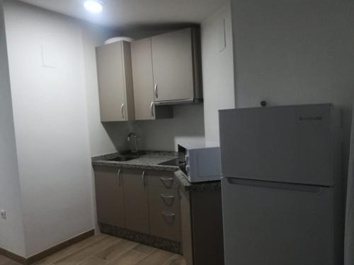 uma pequena cozinha com frigorífico e armários em Apartamentos Buena Vista 1 em Coto Rios
