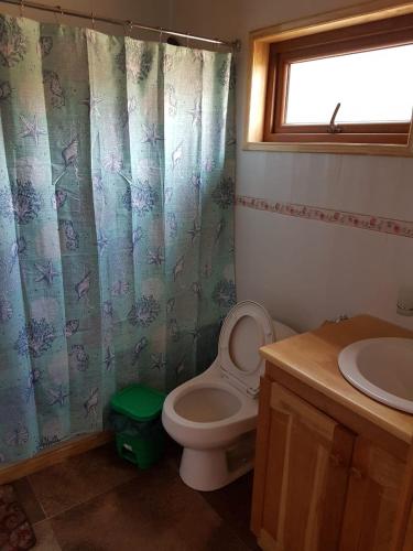 a bathroom with a toilet and a sink and a window at Patagonia Acres Lodge in Mallin Grande