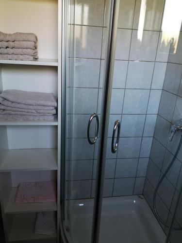 La salle de bains est pourvue d'une douche avec une porte en verre. dans l'établissement Apartment Damijan, à Bled
