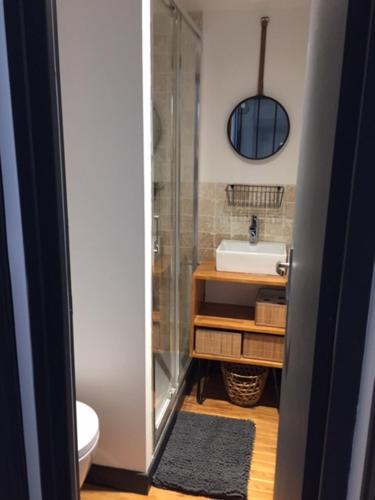 La salle de bains est pourvue d'une douche et d'un lavabo. dans l'établissement Basilique/carmel tout confort, à Lisieux