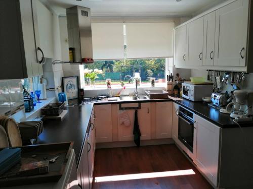 a kitchen with a sink and a stove top oven at Abacus House in Csopak