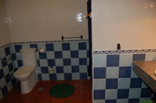 a bathroom with a toilet and a checkered wall at Apartamentos Rurales La Regatina in Lamuño