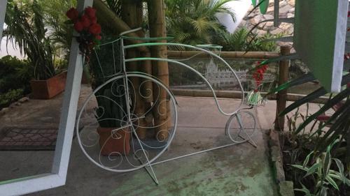 a metal rack with a potted plant and a bike at Torettos in Yumbo