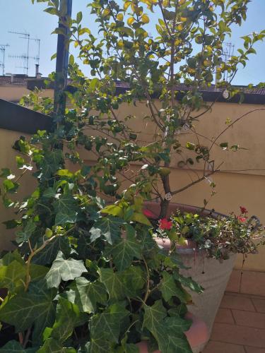 Appartamento Malù – Photos 2