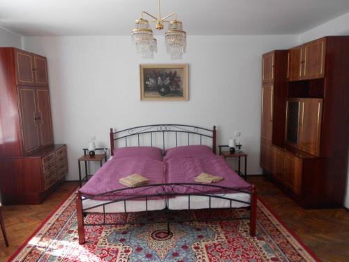1 dormitorio con 1 cama con manta morada en Ubytování U babičky, en Lanžhot