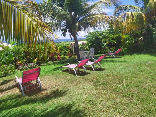 a group of chairs and a table in the grass at La Créolie in Saint-François
