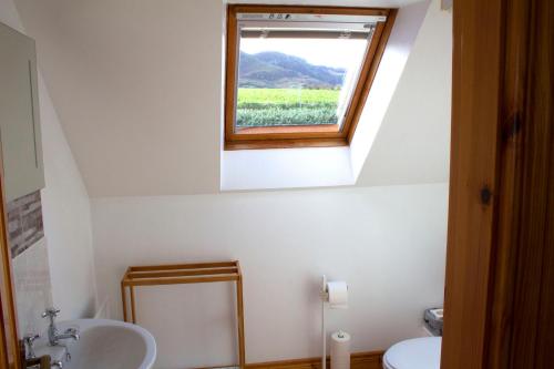 a bathroom with a sink and a window at Madra Rua Organic Accommodation in Ballyliffin