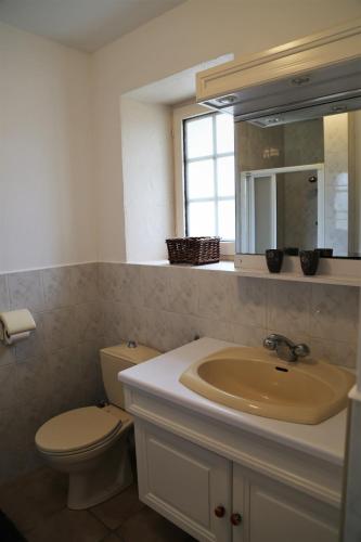 une salle de bain avec un lavabo, des toilettes et un miroir dans l'établissement Gîte Le Bonheur, à Hiersac