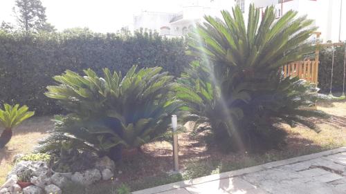 Villa Del Mar – Photos 2