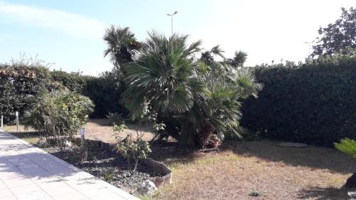 Villa Del Mar – Photos 3