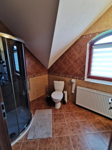 a bathroom with a toilet and a shower at Zamoček in Matiašovce