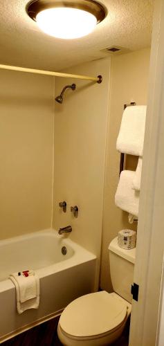 a bathroom with a toilet and a sink and a tub at Days Inn by Wyndham Gainesville Florida in Gainesville