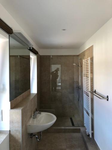 a bathroom with a sink and a shower at Farm-Chalet Renzow in Renzow