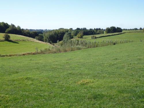 a field of green grass with trees in the distance at Eifel Lodge in Butgenbach