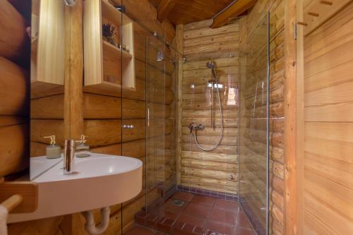a bathroom with a sink and a shower at Wellness hiska Izabela in Križevci pri Ljutomeru