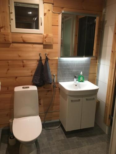 a bathroom with a toilet and a sink at Villa Kaltio in Äkäslompolo