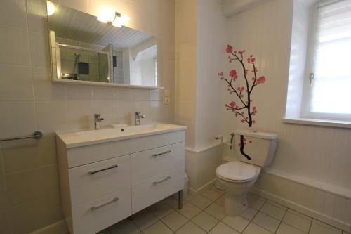 La salle de bains est pourvue de toilettes, d'un lavabo et d'un miroir. dans l'établissement Gîte L Écrin - Cœur de Riquewihr - 4 personnes, à Riquewihr