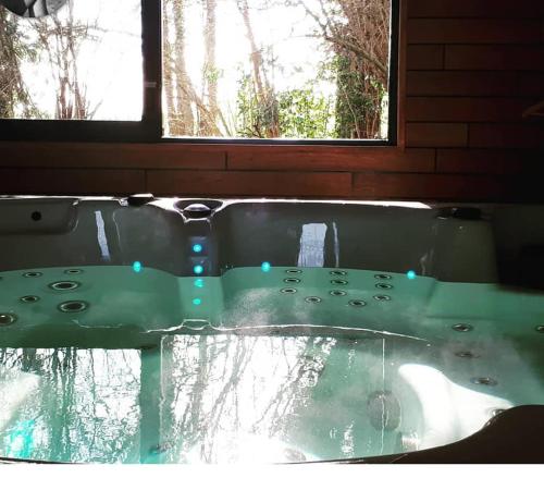 a bath tub with a window in a room at La Petite Motte in Ceton