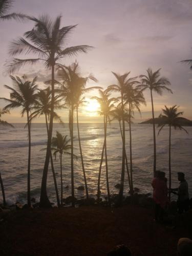 a group of palm trees on the beach at sunset at Flip Flop Inn Mirissa in Mirissa