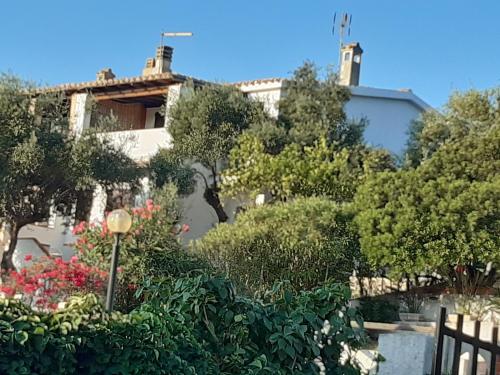 Κήπος έξω από το SweetHouse Pula