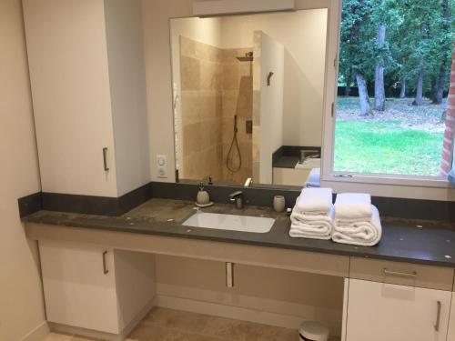 a bathroom with a sink and a large mirror at Domaine du Buc , les Gîtes de Prestige in Marssac-sur-Tarn