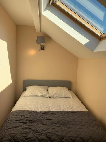 une chambre avec un lit et une lucarne dans l'établissement ANNEXE du LAC, au Bourget-du-Lac
