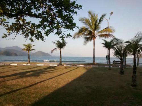 a group of palm trees on the beach at Chalé Excelente Localização in Ubatuba
