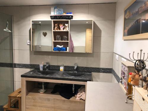 a bathroom with a sink and a mirror at Chalet du bois des Fugiers in Ugine