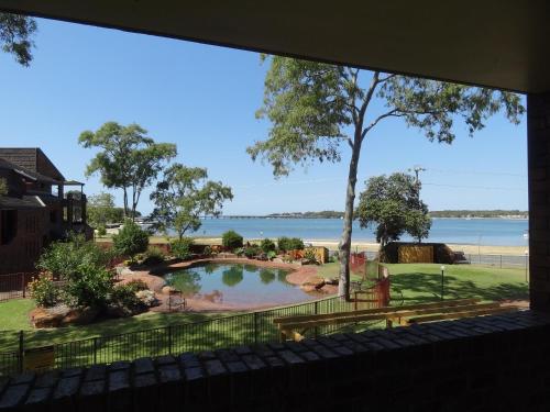 a view of a swimming pool from a window at The Gums Anchorage in Bellara