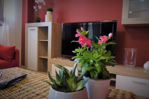 a living room with two potted plants in front of a tv at Poseidone Sea Apartment Taormina in Mazzeo