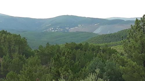 a view of a forest with mountains in the background at A casinha da Aldeia de Xisto in Fundão