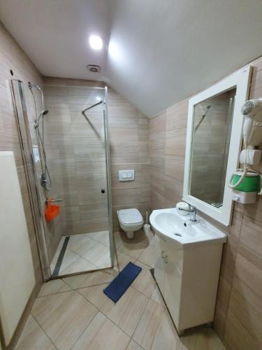 a bathroom with a shower and a toilet and a sink at Niš City Center Guest House in Niš