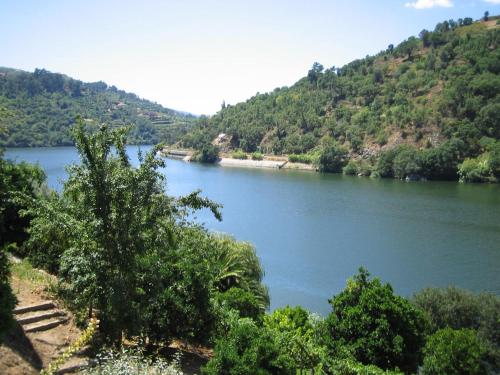 a view of a river with trees and mountains at Casa da Figueira Velha in Resende