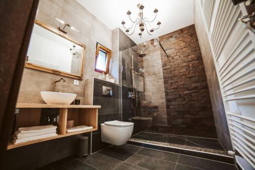 a bathroom with a shower and a toilet and a sink at Casa Cifu Toplita in Topliţa